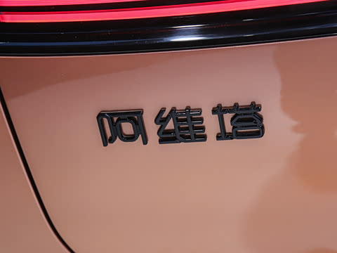 2026�� Performance ����������
