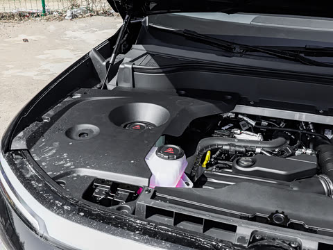 2026�� Max ������