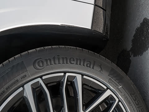 2026�� ���� ����Max��
