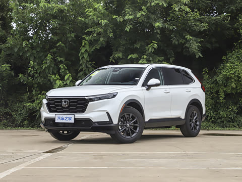 2026�� ȫ��30����ҫ�� 1.5T ��������5����