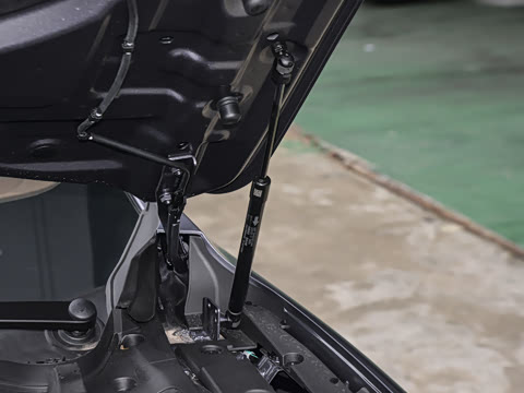 2025�� 260����������