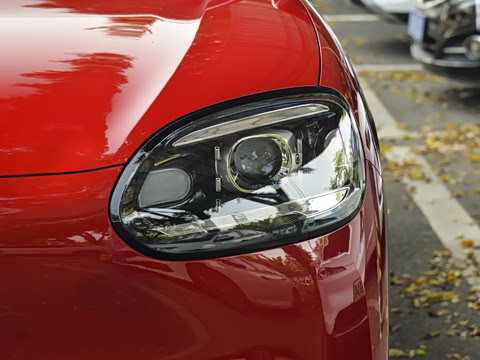2026�� 310������