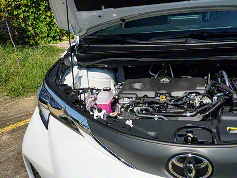 2026�� 2.5L�춯 ���ʰ�