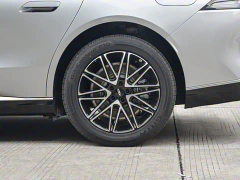 2025�� 260��������������