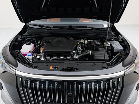 2026�� 1.5L �����