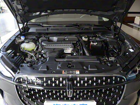 2025�� 2.0T �������Ű�