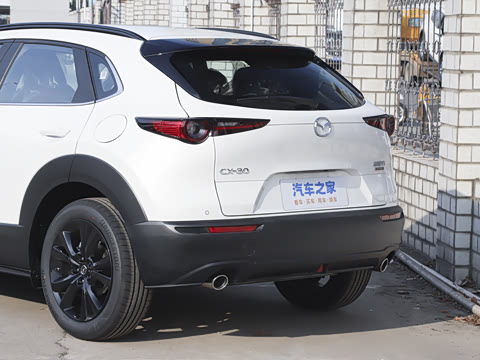 2025�� 2.0L �Զ�������