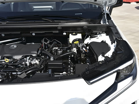 2026�� 2.5L ���ܵ��˫�� ����PRO