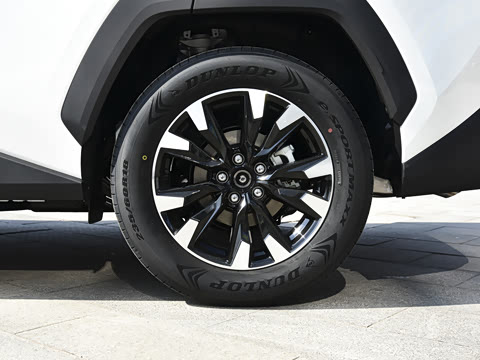 2026�� 2.5L ���ܵ��˫�� ����PRO