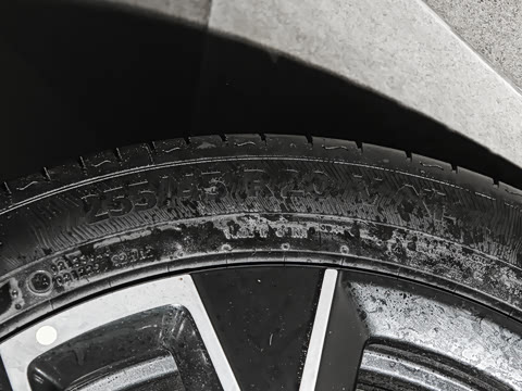 2025�� Elite�����