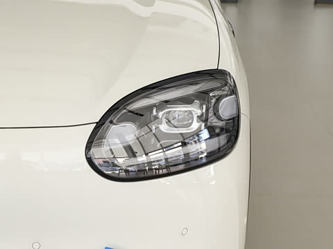 2026�� 310������