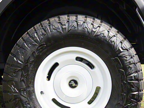 2025�� 2.3T 1966��׼��