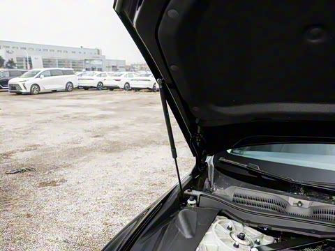 2025�� ������