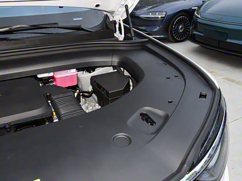 2026�� ���� Max������ 5��