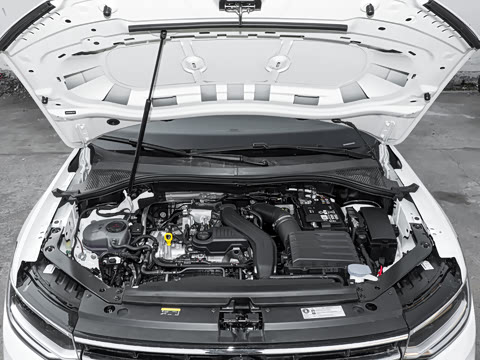 2026�� ���ڿ� 300TSI �Զ��������ڰ�