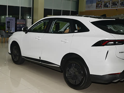 2025�� 530�캽��