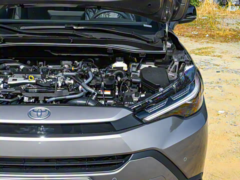 2026�� 2.0L ���ܵ��˫�� ������