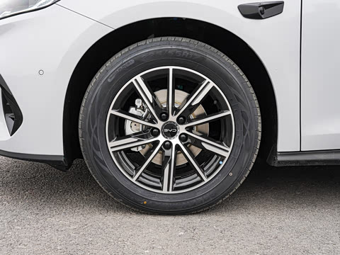 2026�� DM-i ������ 210KM������