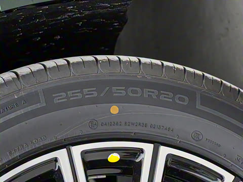 2025�� 230km ����̽����