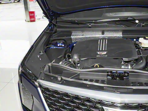 2024�� �Ŀ� 25T ����������