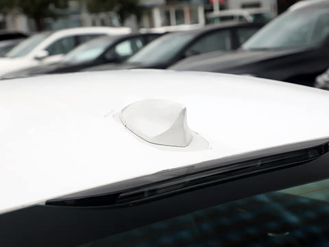 2025�� 25T ������