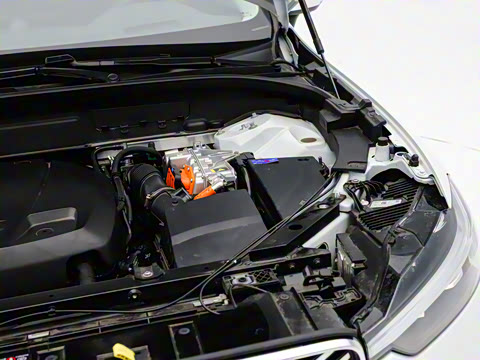 2026�� ���ʽ�춯 �������������ź�����