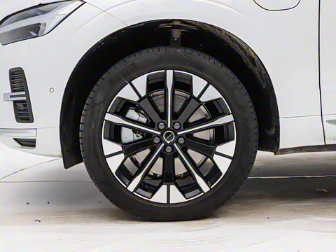 2026�� ���ʽ�춯 �������������ź�����