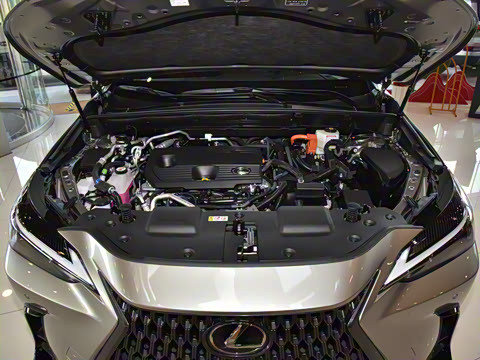 2025�� 400h+ PRIME