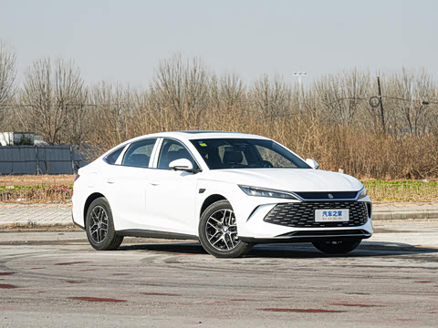 2026�� DM-i 170KM��Խ��