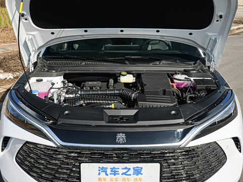 2026�� DM-i 170KM��Խ��