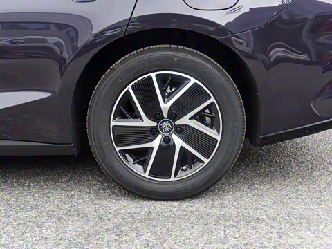 2026�� DM-i 128KM������