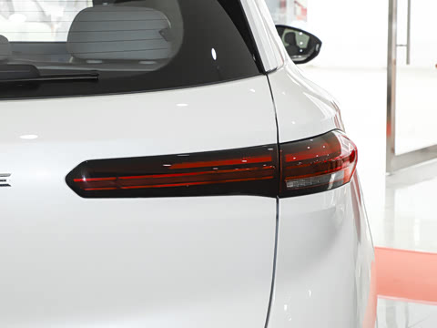 2025�� 565km �����