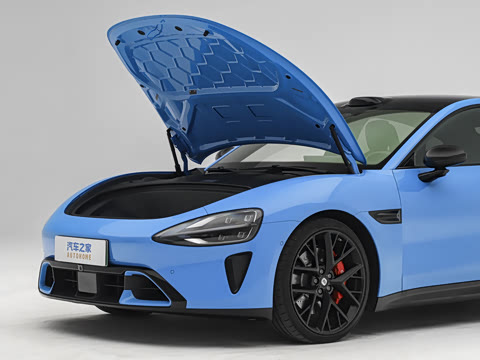 2026�� Max