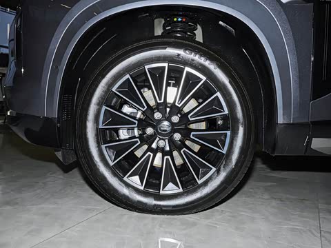 2025�� 205km Pro+�����״��