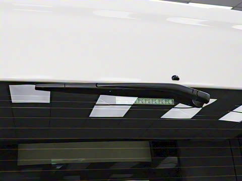 2025�� 9����ʨ ������