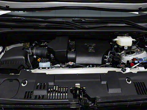 2025�� 9����ʨ ������