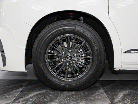 2025�� 9����ʨ ������