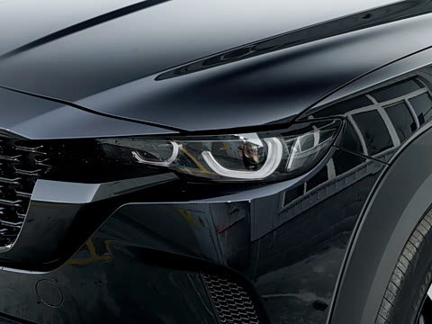 2026�� 2.5L ���а�