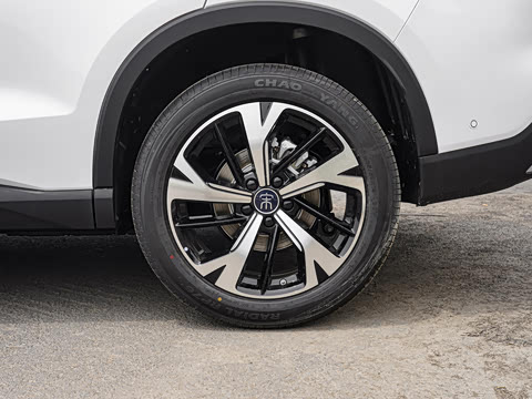 2026�� �ɳ۰� DM-i 220KM��Խ��
