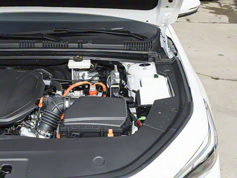 2026�� 60km̽����