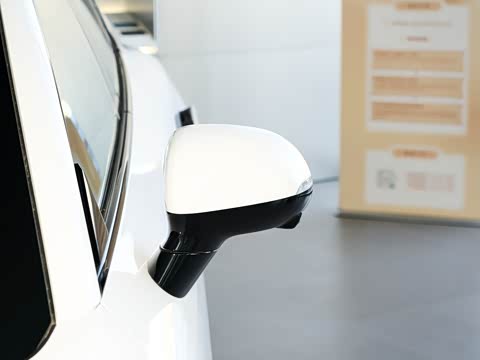 2025�� ���� Plus ��������