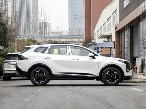 2026�� ����������