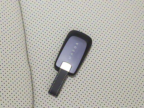 2025�� ����600 Pro