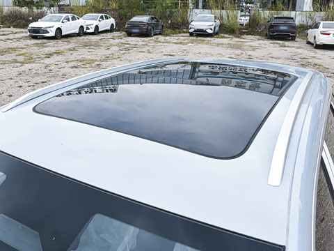 2026�� DM-i 220KM��Խ��