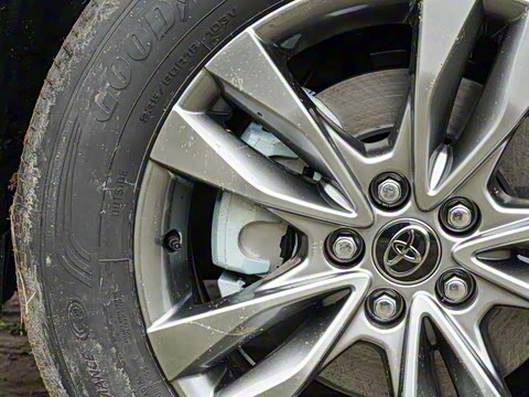 2026�� 2.5L ˫������������