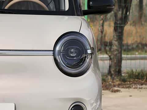 2026�� ����� 301km ���׿�