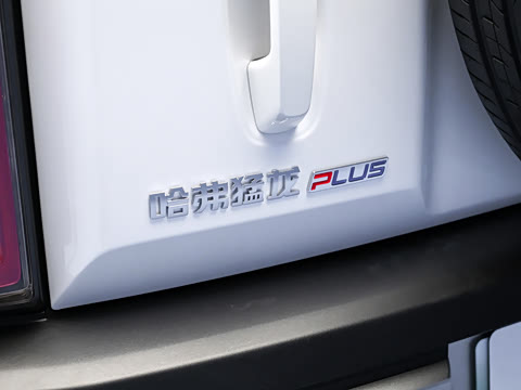 2026�� 255km ������