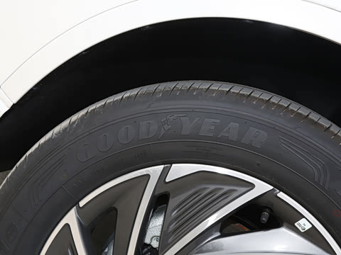 2025�� 1.5T ���������춯��