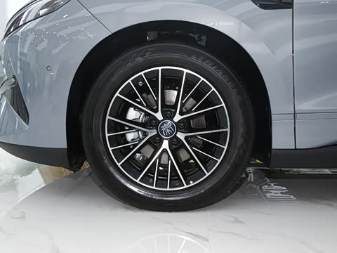 2026�� DM-i 230KM��Խ��