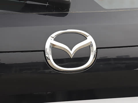 2025�� 2.0L �Զ�����������